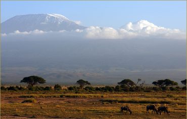 packages-tanzania